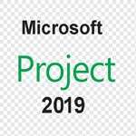 Microsoft Project 2016/2019
