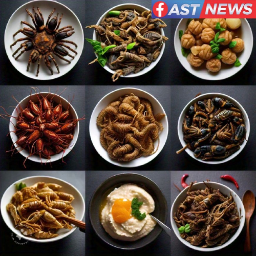 Weird Food Around the World