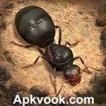 Download Free Ant Kingdom for Android V3.15.0
